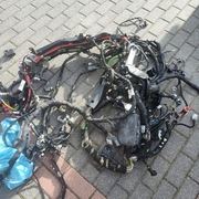 Wiązka Ford custom 2021