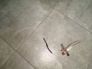 Ferroli Bluhelix elektroda zapłonowa 