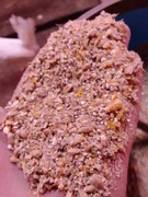 Pasza na kur niosek, bogaty skład, kaczek,gesi