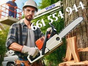 Drewno kominkowe opałowe Łódź i okolice