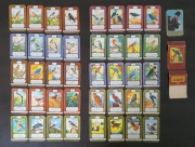 Stara gra karciana "Bunte Vogelwelt"  Quartettspiel und Schwarzer Peter