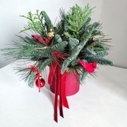 Stroik Świąteczny bożonarodzeniowy z jodły nobilis na stół z girlandą LED