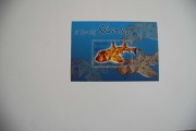 Ghana Sw 3712** heterodontus francisci /ms/