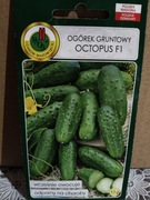 Ogórek gruntowy "Octopus"