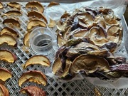 Suszone jabłka BIO (chipsy jabłkowe) bez oprysków i nawozów sztucznych