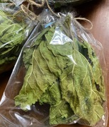 Liść morwa biała - naturalnie suszone, całe