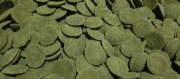 Pokarm Tropical  Breedee Green Algae Wafers- glonojad, krewetki 9 zł/100g.