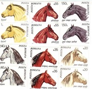 Konie. Znaczki, 1970,  Rumunia, seria 6 zł 1 seria - 45 zl