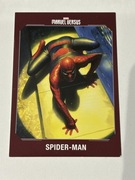Marvel versus Panini Character card Spider -Man 65