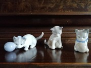 piękna mała rodzina kotów