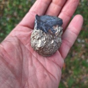 Piryt konkrecja pirytowa z Gór Kaczawskich