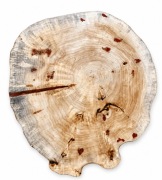 Blat drewniany okrągły topola 82 cm plaster drzewa żywica gruby 13 cm