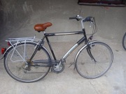 rower , marki RANGER