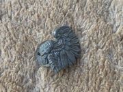 Fragment Orzełka Polskiego