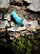 Micro jig na białoryb