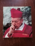 Prymas tysiąclecia. 1982