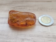 BURSZYN BAŁTYCKI NATURALNY KONIAKOWY