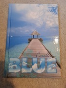 #147 Zeszyt, 96, krata, carribean