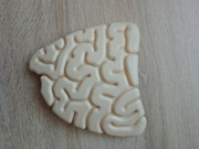 Jelito cienkie kostek szkielet ciało człowieka National Geographic