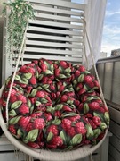 Poducha poduszka xxl na bocianie gniazdo kokon fotel ogrodu taras