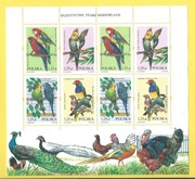 3967-70 ark. Egzotyczne ptaki hodowlane 