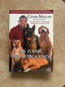 Jak zostać przywódcą stada - Cesar Millan, Melissa Jo Peltier