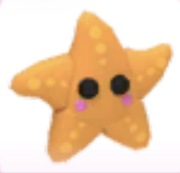 Starfish - Adopt Me Roblox