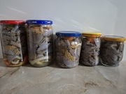 Gąsówki fioletowawe marynowane w zalewie octowej