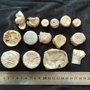 Zestaw 15 sztuk stare zakrętki korki kapsle ALU