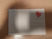 Kartka pocztowa Róża Rosa 1970 proj. K. Tarkowska