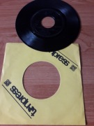 Krzak Ściepka Drzewo oliwne Kansas Kawa blues