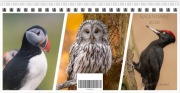 Kalendarz 2026 - Ptaki format Biurkowy 21 x 10 cm