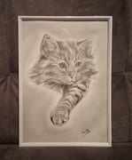 Obraz rysunek kot kotek na prezent