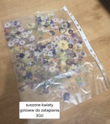 Suszone kwiaty gotowe do zatapiania do żywicy biżuterii zestaw mix