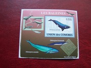 Komory 2009 MNH Fauna   Wieloryb