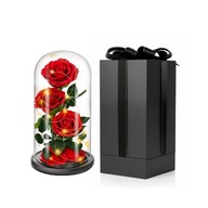 WIECZNA RÓŻA W SZKLE POMYSŁ NA PREZENT WALENTYNKI DLA NIEJ DZIEWCZYNY ŻONY