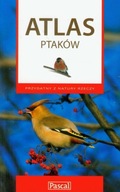 Atlas ptaków Marcin Karetta