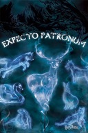Harry Potter očakávanie PATRONUM - plagát 61x91,5 cm