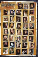 Harry Potter 7 Heroes - Plagát 61x91,5 cm