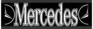 Номерной знак imienna led mercedes 50x16 led фото, цена