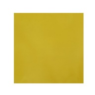 Filter svetlometov žltý žltý 101 PAR 64