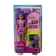 BARBIE Skipper Przekłuwanie uszu praca HKD78