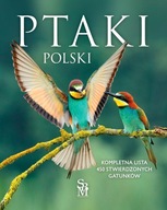 Ptaki Polski Dominik Marchowski