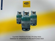 Czynniki chłodnicze R134a i R1234yf 2023 Magneti Marelli