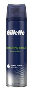 Gillette Refreshing Breeze Shaving Foam 250ml