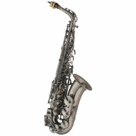 Púzdro na alt saxofón J.MICHAEL AL-980GML