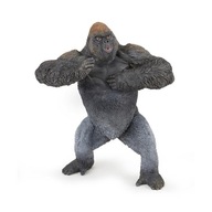 HEGYI GORILLA, PAPO
