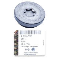 a−ya　　6点 ZAŚLEPKA KOREK KOŁA ZMIENNYCH FAZ ROZRZĄDU OPEL 1.6 1.8 16V