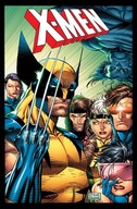 Legendy X-Men: Jim Lee Praca zbiorowa
