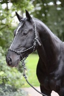 Lanová ohlávka, čierno-šedá, veľkosť pony
